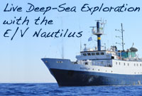 Exploratorium - Nautilus